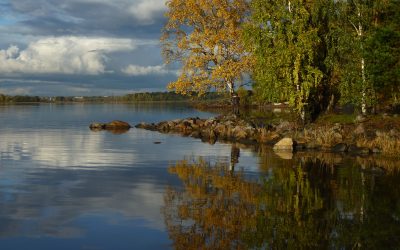 OODI-ILTA HELSINGIN LUONNOLLE 24.9.